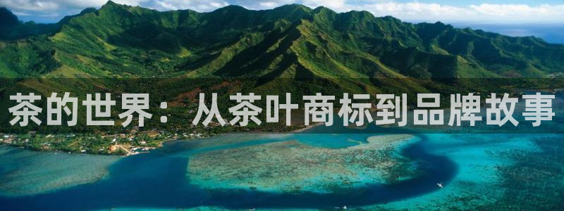 金年会体育app官网