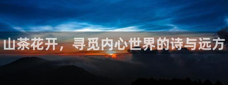 金年会 平台