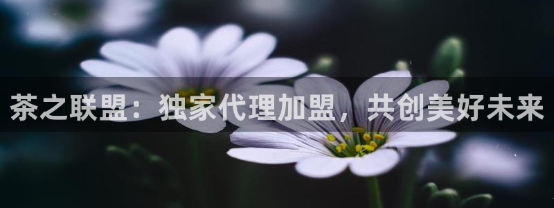 年会金