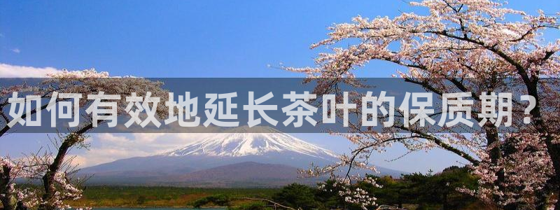金年会是赌博的吗