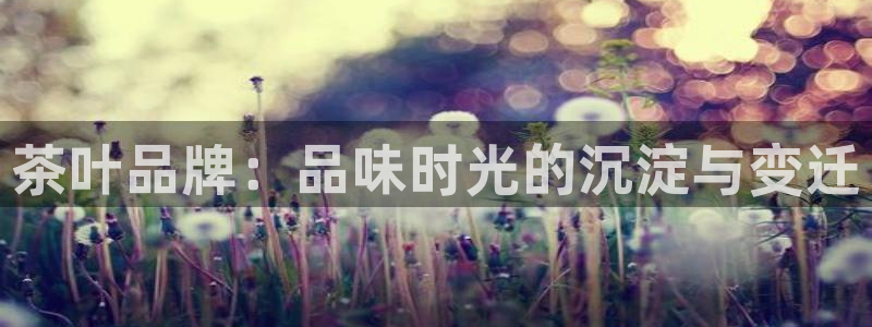 澳门金年会棋牌
