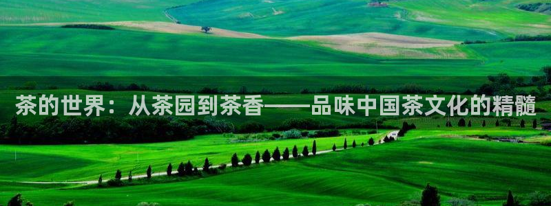 金年会官方网站下载