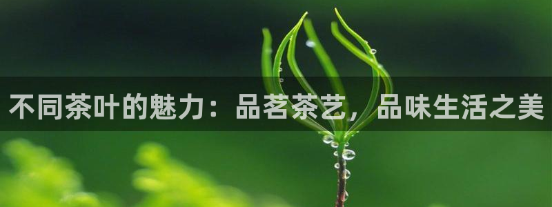 金年会平台包赔