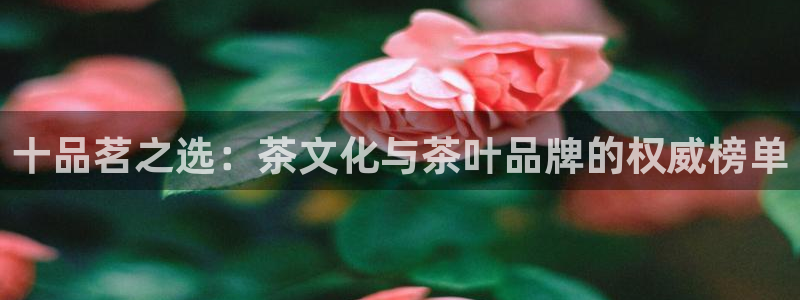 金年会娱乐