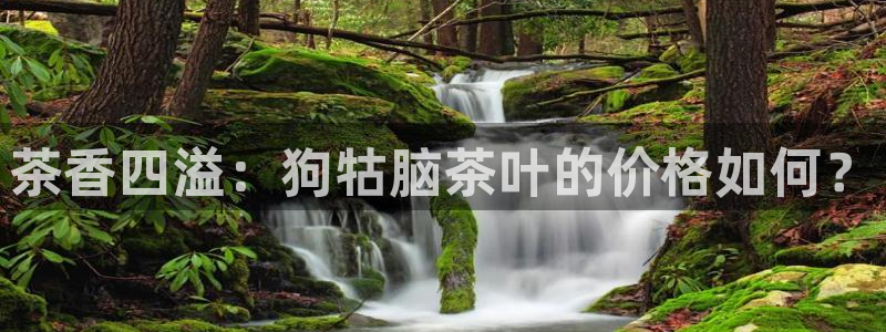 金年会体育和金年会