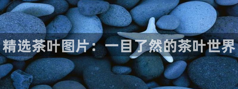 金年会体育app官网
