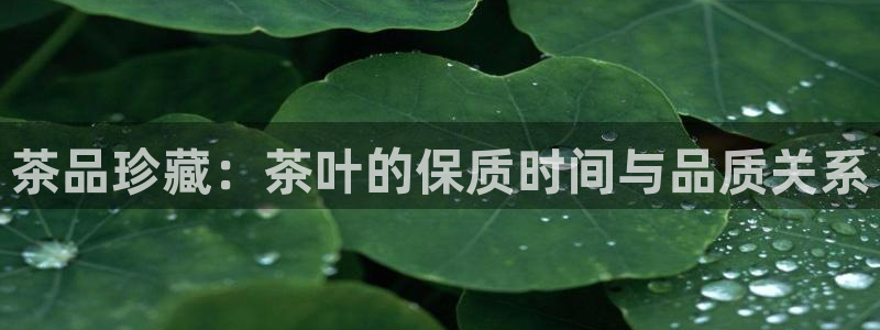 金年会官网