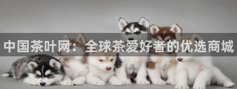 金年会体育下载app