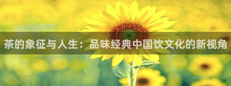 金年会金字招牌信誉