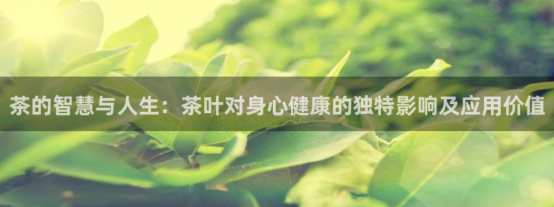 金年会金字招牌下载