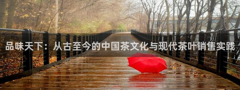 金年会平台游戏