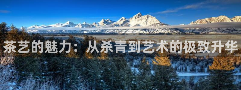 金年会今年会