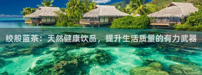金年会金字招牌在线入口
