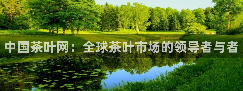 金年会娱乐官网