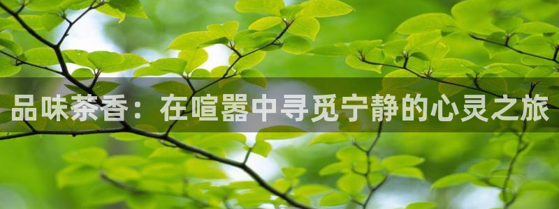 金年会原名