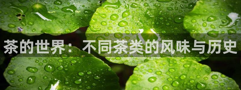 金年会 信誉至上