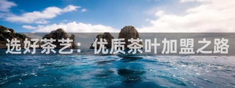 金年会app