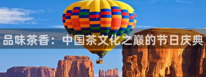 金年会101