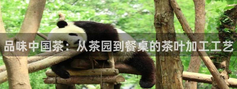 为什么搜索不了金年会