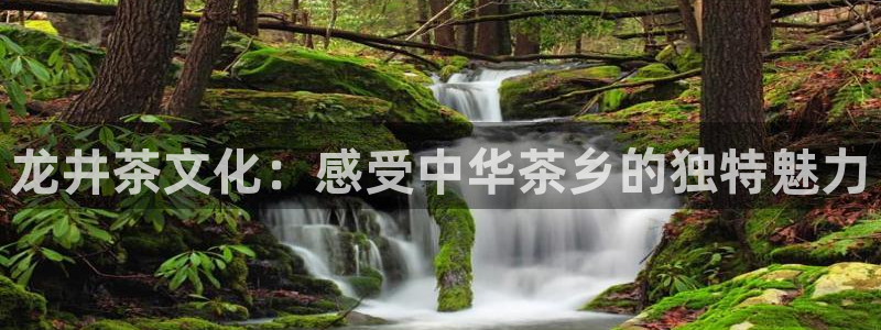金齿科年会