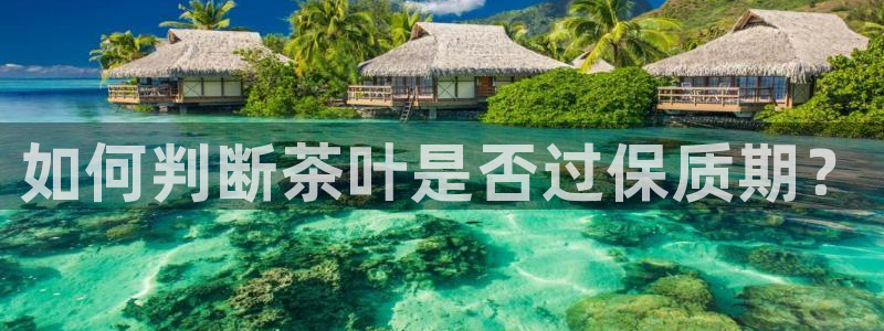金年会体育在线入口