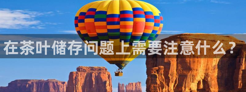 金进年会