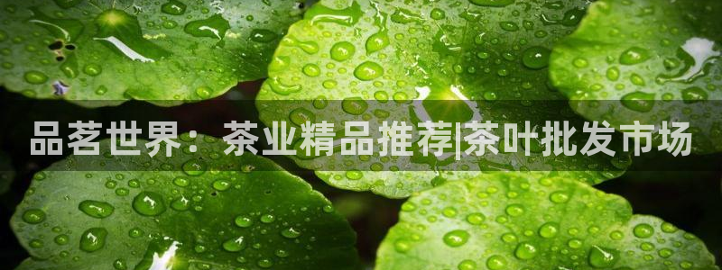 金年会提款慢