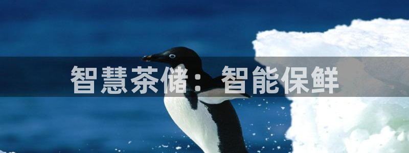 金年会这个平台