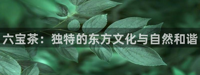 金年会体育下载app