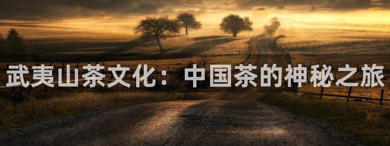 金年会 中国 金年会