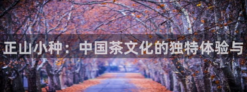 金年会电子游戏app