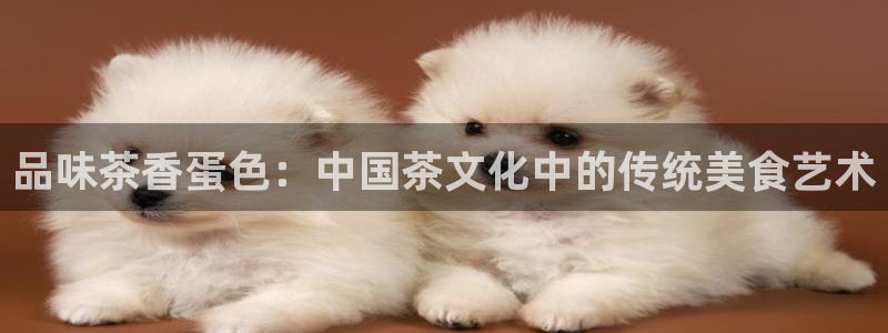 金年会体育官方网站入口