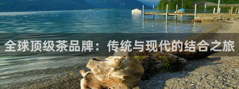 金年会投注官网