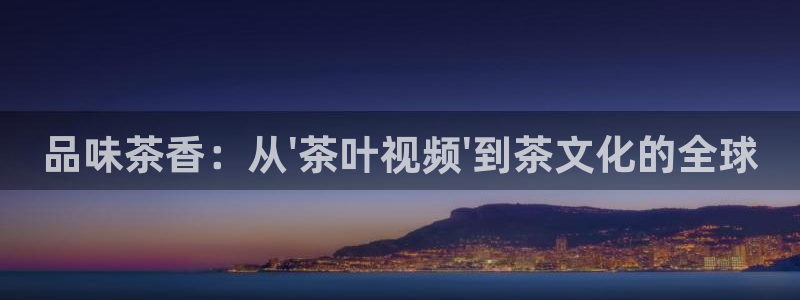 金辉城年会视频