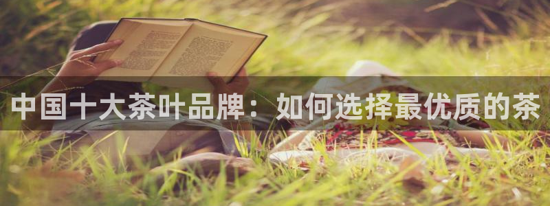 金年会这个平台