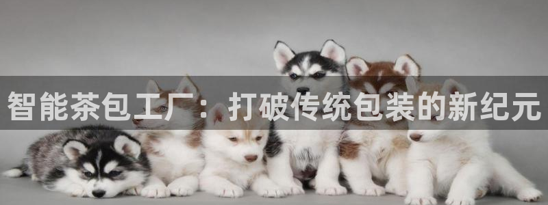 金年会官网地址