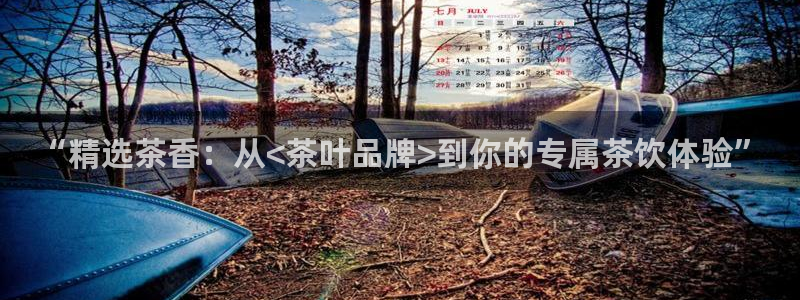 金年会官方网址登录路线