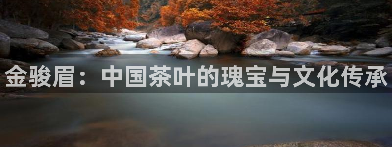 金年会app下载官网