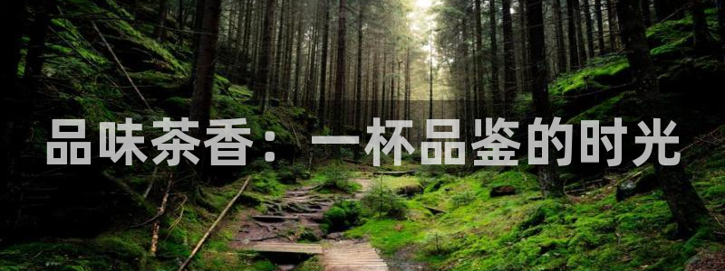 金年会官方体育登录入口