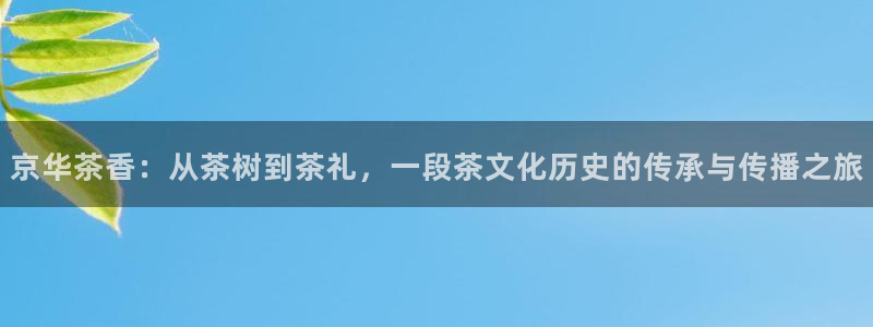 金年会官网入口