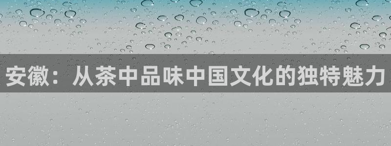 jinnianhui 金年会