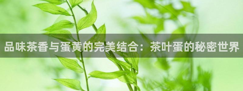 金年会网页版登陆