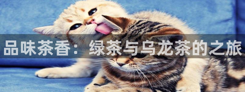 金年会电子游戏app