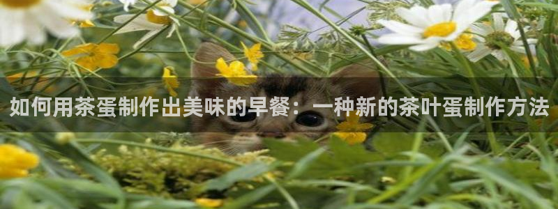 金年会平台是真的吗