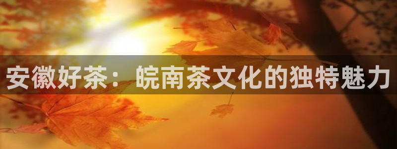 金雅陶瓷年会现场